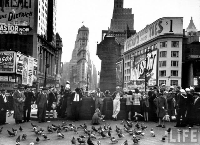 9367a933ed49da29_large