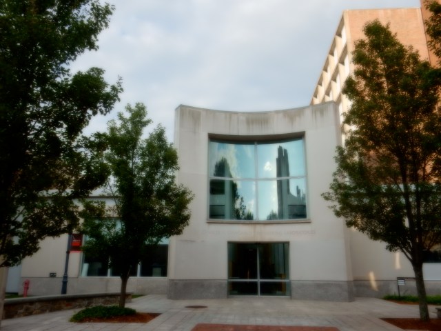 Pulling back a bit from end of Manning Walk.