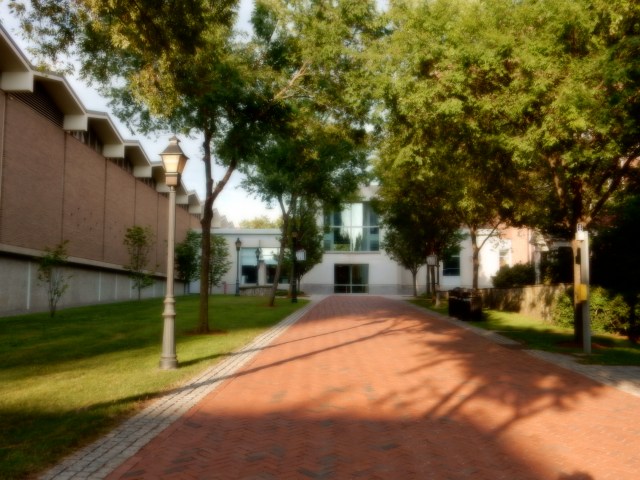 Left to right: Prince Lab, Gioncarlo Lab, Hinckley.