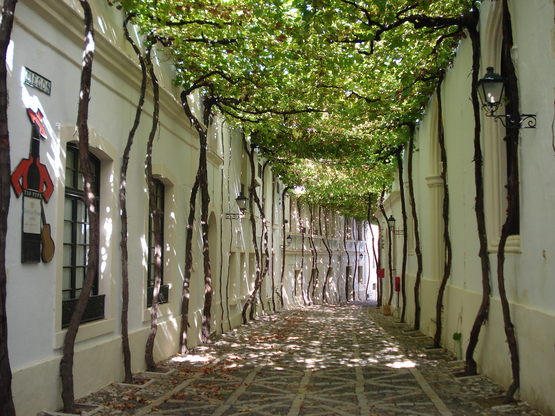 Screen Shot 2016-02-20 at 11.37.32 AM.png