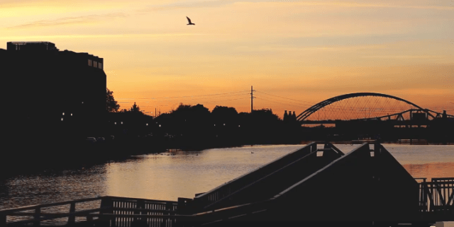 Screen Shot 2016-03-18 at 7.59.13 PM copy.png