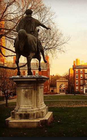 Screen Shot 2016-07-06 at 10.50.11 AM.png