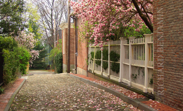 Screen Shot 2017-03-15 at 11.51.05 AM.png