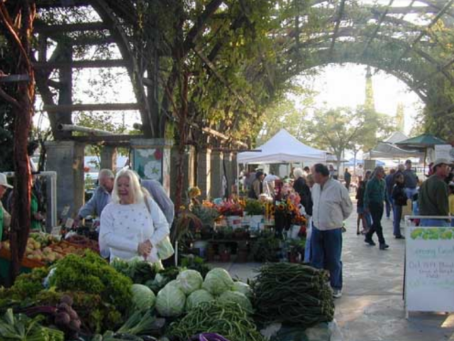 Screen Shot 2017-03-22 at 2.56.40 PM.png