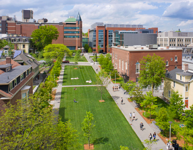 Screen Shot 2018-02-22 at 7.58.02 PM.png