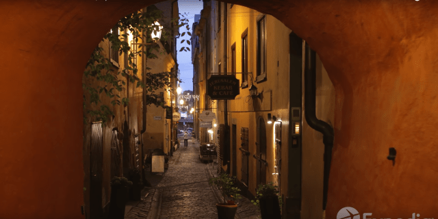 Screen Shot 2020-03-13 at 8.22.09 PM.png