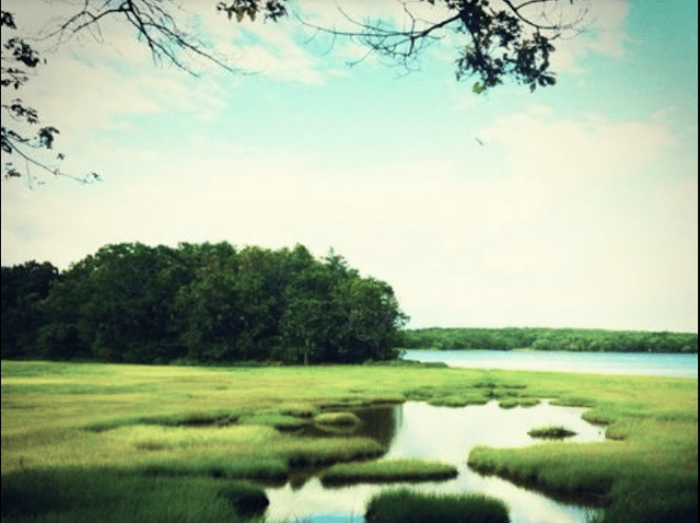 Screen Shot 2020-05-17 at 7.02.01 PM